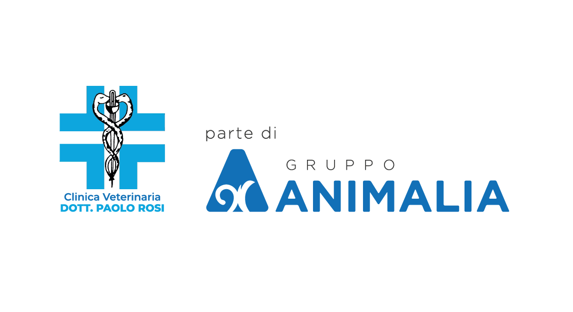 Clinica Veterinaria Dottor Rosi (Gruppo Animalia) sponsor Basket Più